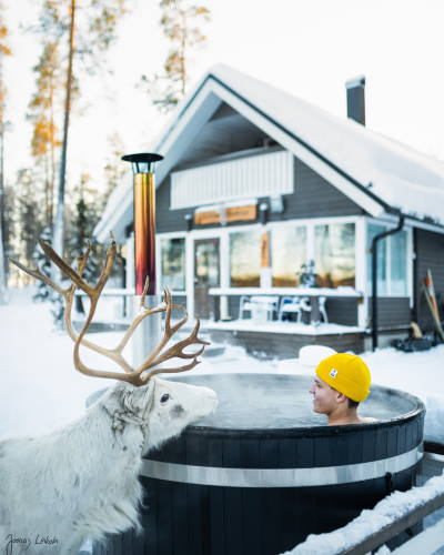 Wild Blueberry | Paljusta voi löytää uuden ystävän -kuvassa oleva poro on vastarannan poronomistajan näyttelyporo | Kirami