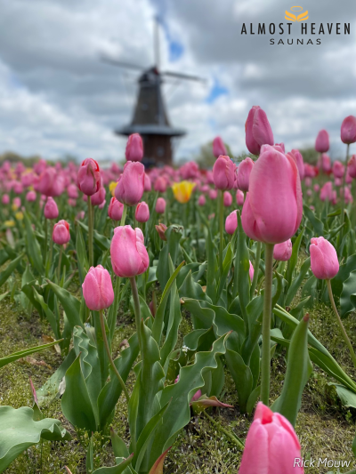 Almost Heaven Saunas | ‘Holland’, gastland van het Tulip Festival | Kirami