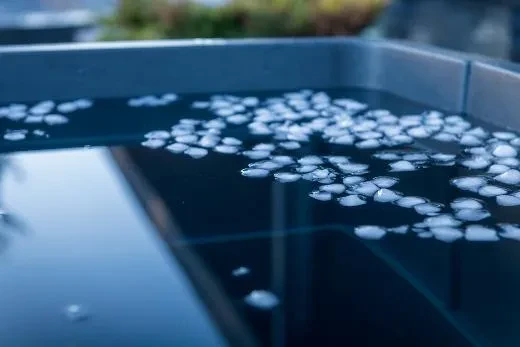 Comfort BlackIce S - BlackLeather, harmaa