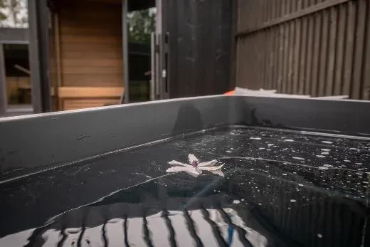 Palju sopii pieniin pihoihin ja terasseihin vaivattomasti.